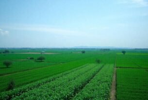 noticias-do-agro-que-vao-mudar-sua-visao-sobre-o-setor-agricola