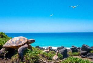 tartarugas-gigantes-da-ilha-de-galapagos-surpresas-incriveis